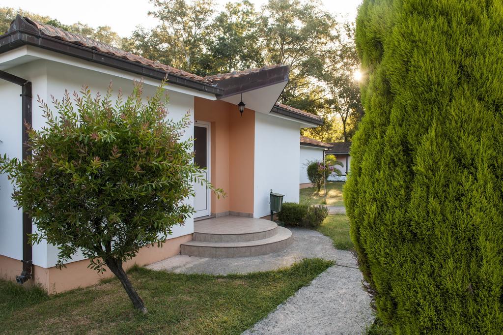 Hotel Htp Velika Plaza Ulcinj Zimmer foto